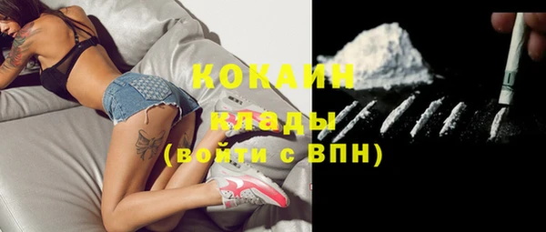 гашик Алзамай