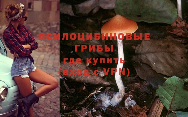 гашик Алзамай