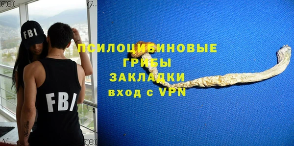 гашик Алзамай
