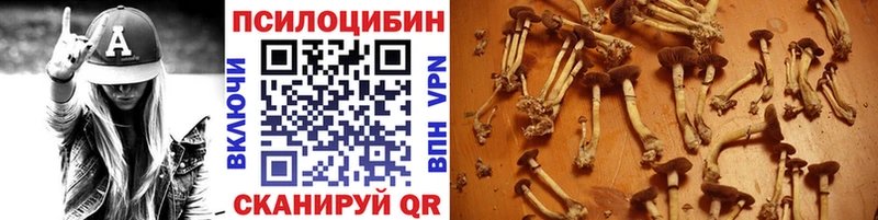 Галлюциногенные грибы мухоморы  Борзя 